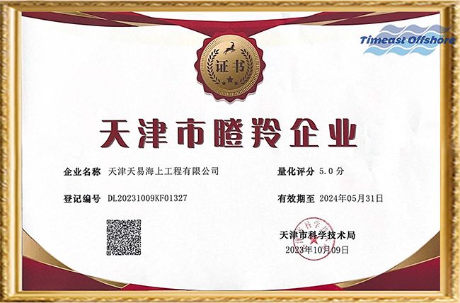 喜報丨麻豆短视频海工榮獲“天津市創新型中小企業”和“天津市瞪羚企業”雙重（chóng）認定